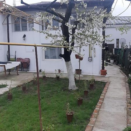 House Hotel Крайова Екстериор снимка