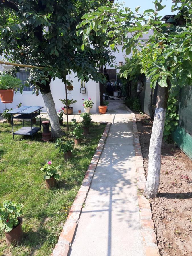 House Hotel Крайова Екстериор снимка